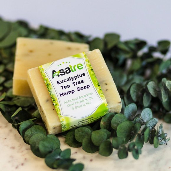 Eucalyptus Tea Tree Antibacterial Soap 5 pk - Picture 1 of 12